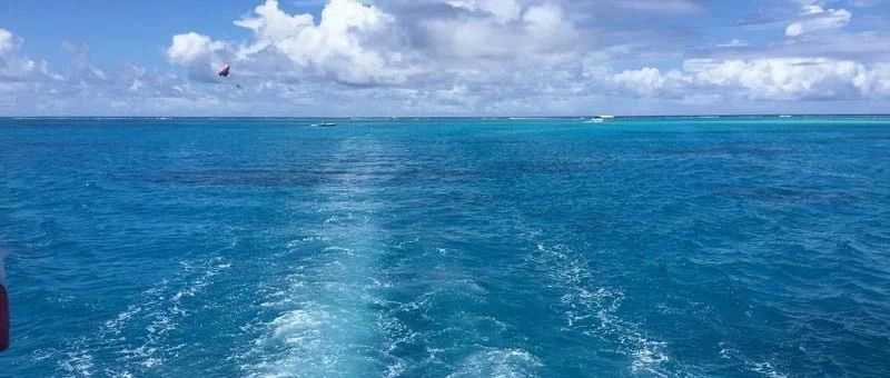 Featured image of post 老美降息