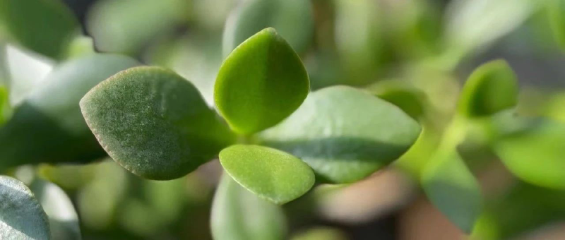 Featured image of post 有一种跌叫做看不出来