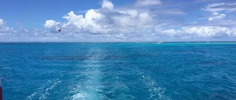 Featured image of post 缩量反弹