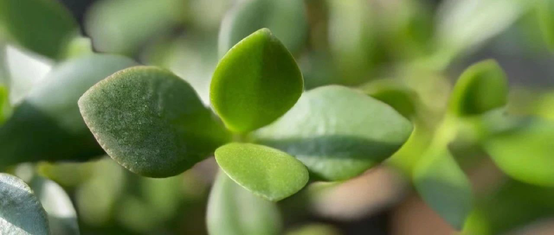 Featured image of post 大金融