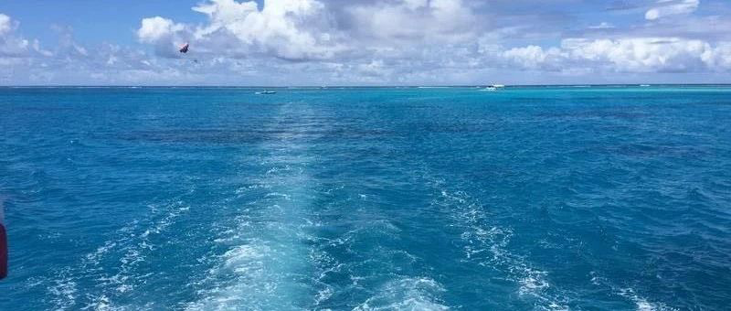 Featured image of post 没脾气