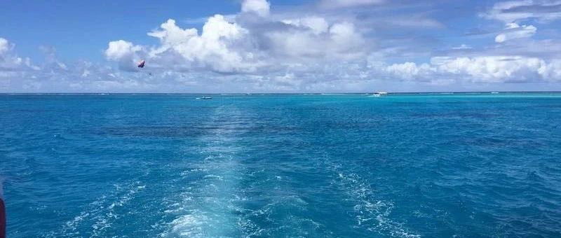 Featured image of post 经济抡大锤