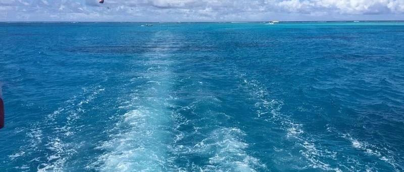 Featured image of post 愤然离场