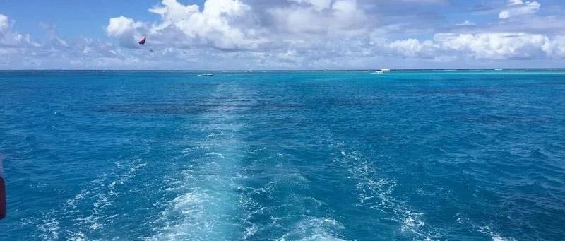 Featured image of post 年前还有5个交易日