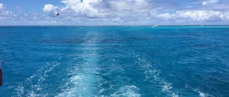 Featured image of post 还得是懂王