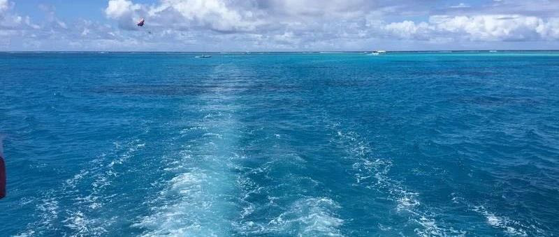 Featured image of post 再次被懂王拿捏