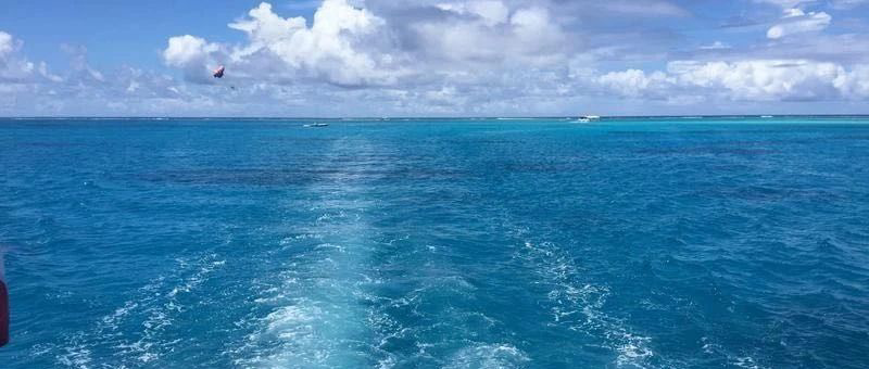 Featured image of post 行情火爆