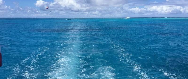 Featured image of post 苹果牵手阿里巴巴