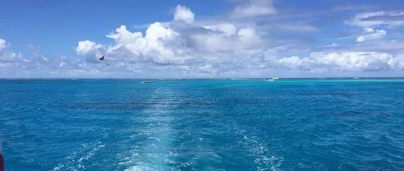 Featured image of post 没顶住