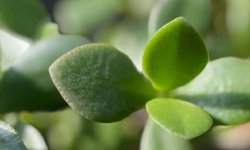 Featured image of post 科技也需要冷静一下