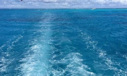 Featured image of post 风来了（被删重发）