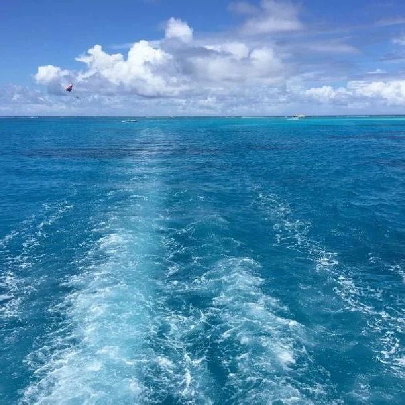 Featured image of post 风来了（被删重发）