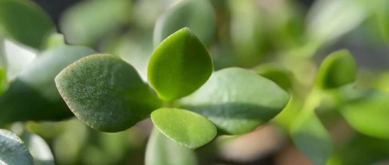 Featured image of post 字少事大