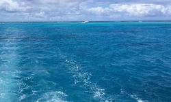 Featured image of post 起飞