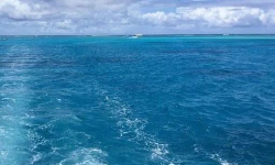 Featured image of post 继续降温