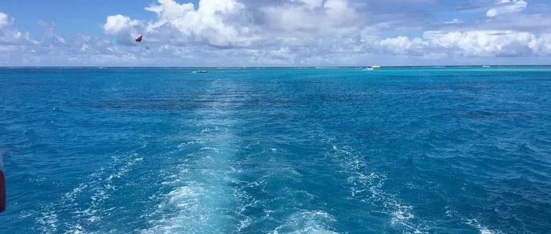 Featured image of post 继续降温