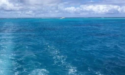 Featured image of post 调整