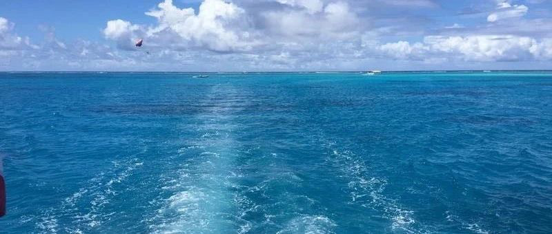 Featured image of post 调整