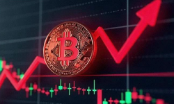 Featured image of post 喝酒吃肉