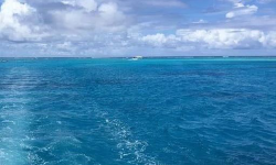 Featured image of post 高开低走了