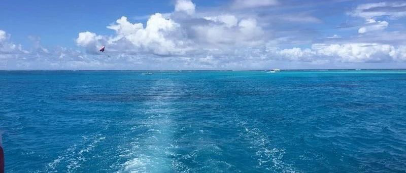 Featured image of post 高开低走了