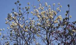 Featured image of post 又被装到了