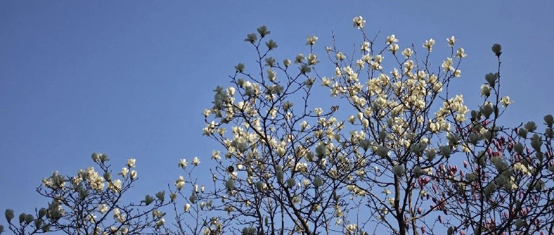 Featured image of post 又被装到了