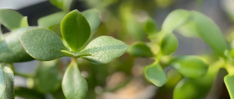 Featured image of post 几家欢乐几家愁