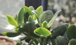 Featured image of post 被小米干懵了