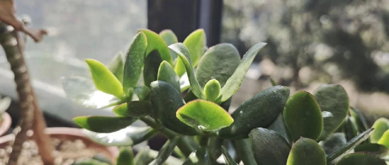 Featured image of post 被小米干懵了