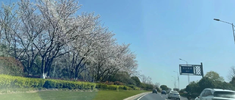 Featured image of post 暴雷了