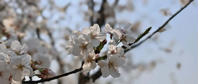 Featured image of post 首富另有其人了