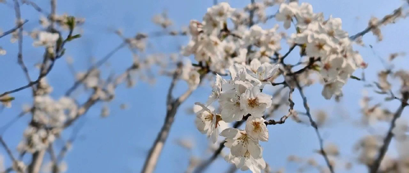 Featured image of post 建国的大锤胜似雷