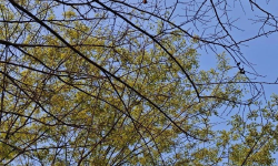 Featured image of post 小米被锤惨了