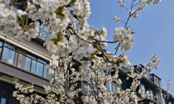 Featured image of post 跌麻了