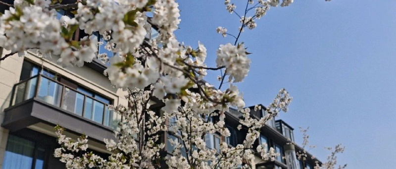 Featured image of post 跌麻了