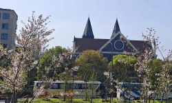 Featured image of post 懂王的大棒如期而至