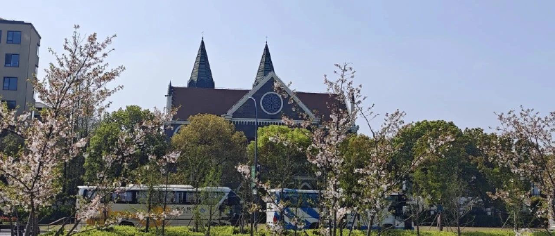 Featured image of post 懂王的大棒如期而至