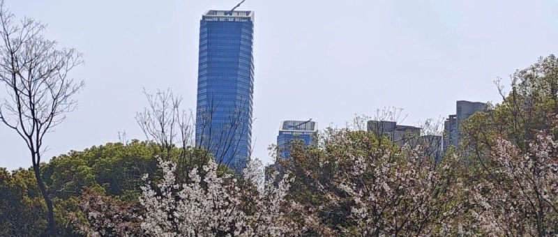 Featured image of post 美股走熊，螺旋下跌来了