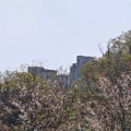 美股走熊，螺旋下跌来了