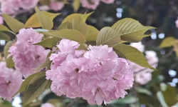 Featured image of post 反弹了