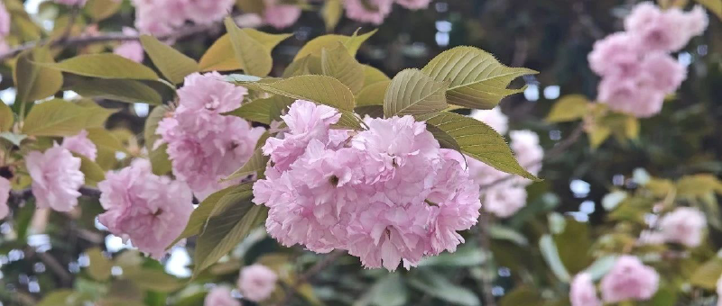 Featured image of post 反弹了