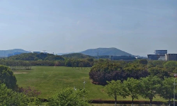 Featured image of post 一觉醒来，天变了