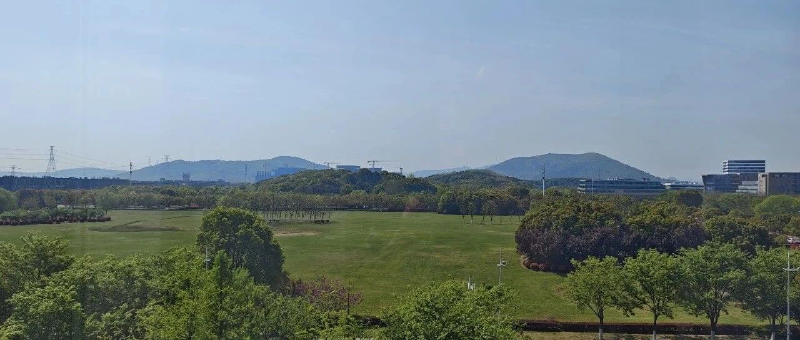 Featured image of post 一觉醒来，天变了