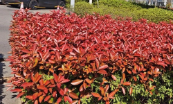 Featured image of post 干到顶了