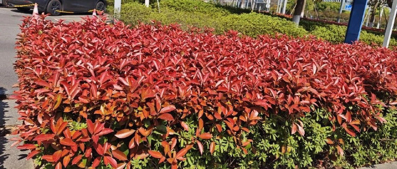 Featured image of post 干到顶了