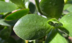 Featured image of post 继续回血