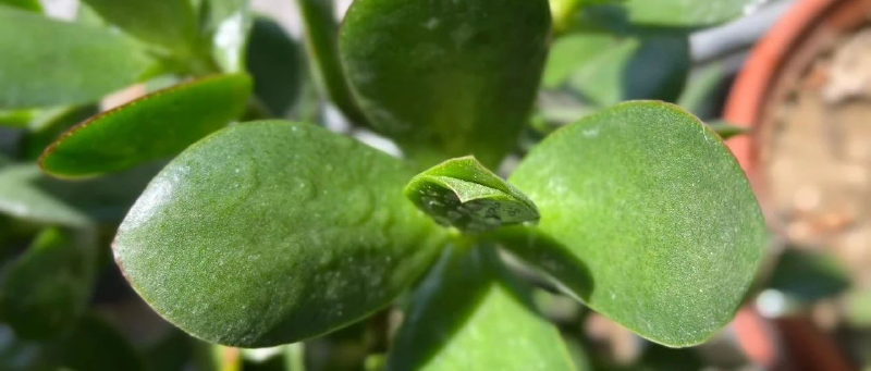 Featured image of post 继续回血