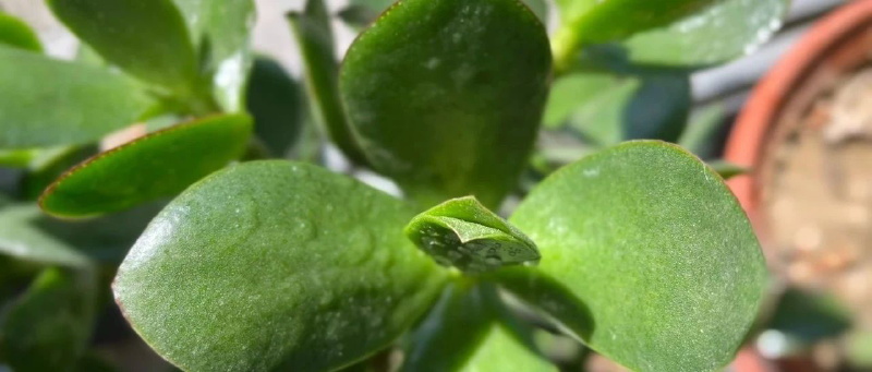 Featured image of post 还没回血又冷却了