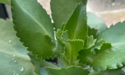 Featured image of post 下跌原因找到了